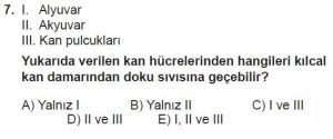 12. Sınıf Biyoloji Test 7 Soru-7