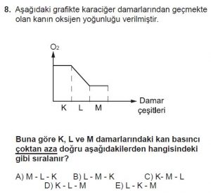 12. Sınıf Biyoloji Test 7 Soru-8