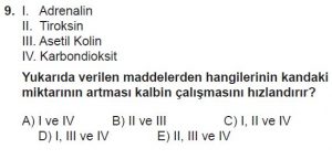 12. Sınıf Biyoloji Test 7 Soru-9