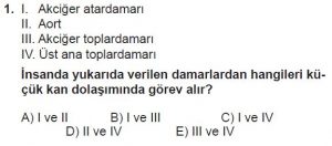 12. Sınıf Biyoloji Test 8 Soru-1