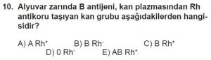 12. Sınıf Biyoloji Test 8 Soru-10