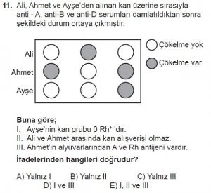 12. Sınıf Biyoloji Test 8 Soru-11