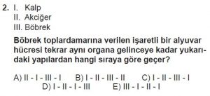 12. Sınıf Biyoloji Test 8 Soru-2