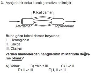 12. Sınıf Biyoloji Test 8 Soru-3