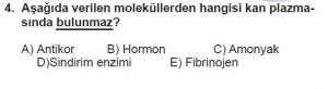 12. Sınıf Biyoloji Test 8 Soru-4