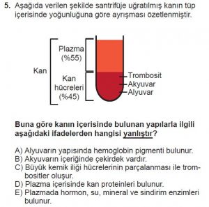 12. Sınıf Biyoloji Test 8 Soru-5