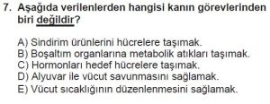 12. Sınıf Biyoloji Test 8 Soru-7