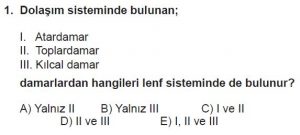 12. Sınıf Biyoloji Test 9 Soru-1