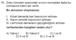 12. Sınıf Biyoloji Test 9 Soru-11