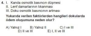 12. Sınıf Biyoloji Test 9 Soru-4