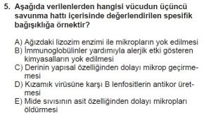 12. Sınıf Biyoloji Test 9 Soru-5