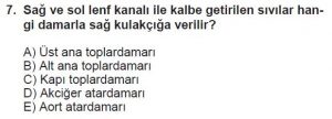 12. Sınıf Biyoloji Test 9 Soru-7