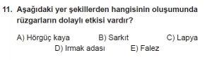 12.lar Sınıf Coğrafya Test 15 Soru-11
