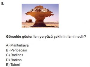 12.lar Sınıf Coğrafya Test 15 Soru-8