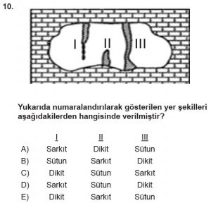 12.lar Sınıf Coğrafya Test 16 Soru-10