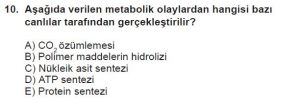 9. Sınıf Biyoloji Test 1 Soru-10