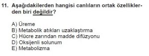 9. Sınıf Biyoloji Test 1 Soru-11