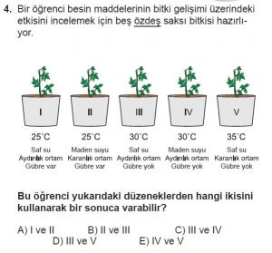 9. Sınıf Biyoloji Test 1 Soru-4