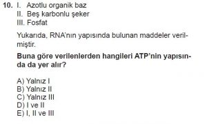 9. Sınıf Biyoloji Test 10 Soru-10