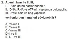 9. Sınıf Biyoloji Test 10 Soru-2