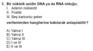 9. Sınıf Biyoloji Test 10 Soru-3