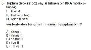 9. Sınıf Biyoloji Test 10 Soru-5