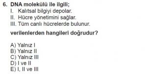9. Sınıf Biyoloji Test 10 Soru-6