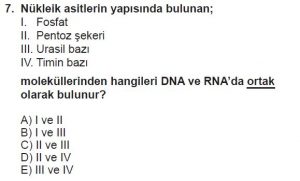 9. Sınıf Biyoloji Test 10 Soru-7