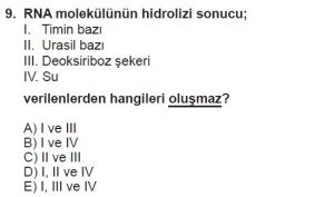 9. Sınıf Biyoloji Test 10 Soru-9