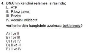 9. Sınıf Biyoloji Test 11 Soru-4