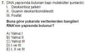 9. Sınıf Biyoloji Test 11 Soru-7