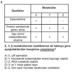 9. Sınıf Biyoloji Test 11 Soru-8