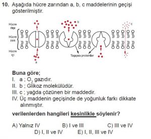 9. Sınıf Biyoloji Test 12 Soru-10