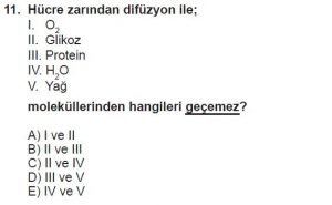 9. Sınıf Biyoloji Test 12 Soru-11