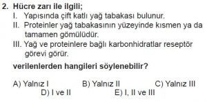 9. Sınıf Biyoloji Test 12 Soru-2