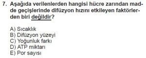 9. Sınıf Biyoloji Test 12 Soru-7