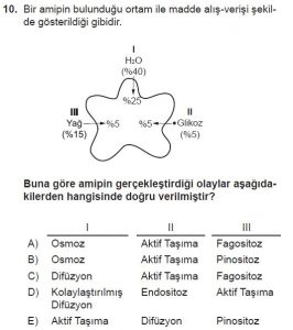 9. Sınıf Biyoloji Test 13 Soru-10