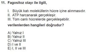 9. Sınıf Biyoloji Test 13 Soru-11