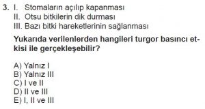 9. Sınıf Biyoloji Test 13 Soru-3