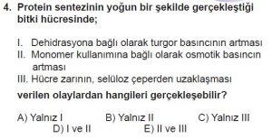 9. Sınıf Biyoloji Test 13 Soru-4