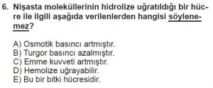 9. Sınıf Biyoloji Test 13 Soru-6