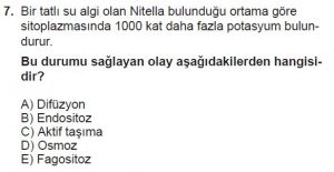 9. Sınıf Biyoloji Test 13 Soru-7