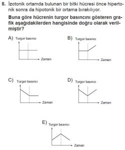 9. Sınıf Biyoloji Test 13 Soru-8