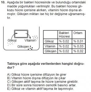 9. Sınıf Biyoloji Test 14 Soru-10