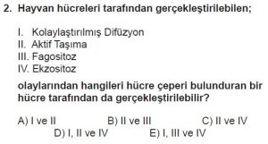 9. Sınıf Biyoloji Test 14 Soru-2