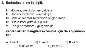 9. Sınıf Biyoloji Test 14 Soru-3