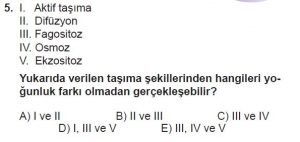 9. Sınıf Biyoloji Test 14 Soru-5