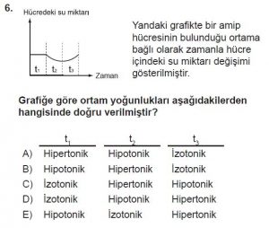 9. Sınıf Biyoloji Test 14 Soru-6