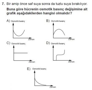 9. Sınıf Biyoloji Test 14 Soru-7