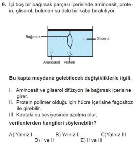 9. Sınıf Biyoloji Test 14 Soru-9